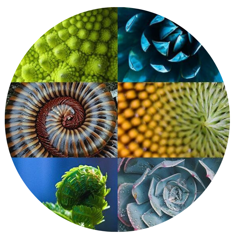 pattern.png